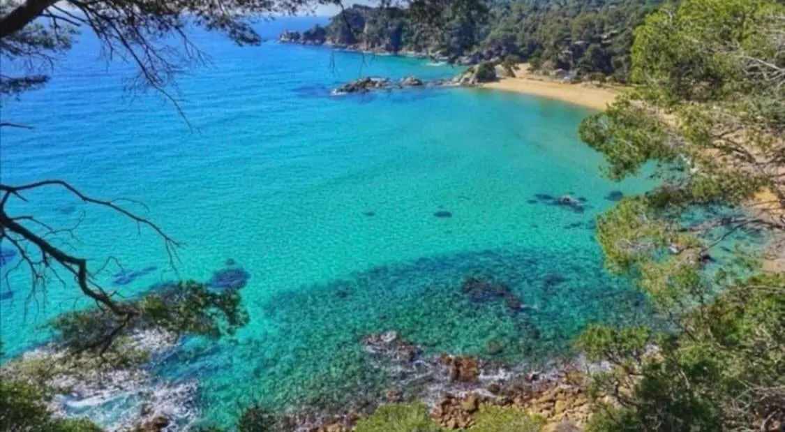 Seahomes Vacations - Beachside Apt With Pool Lloret de Mar Apartamento